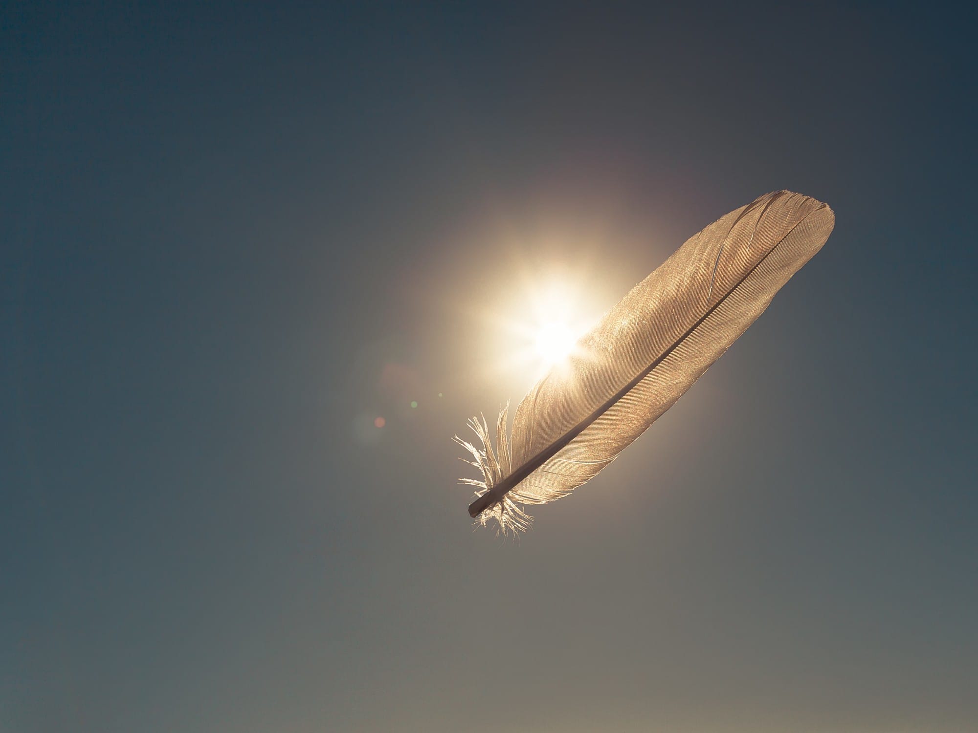 Pluma flotando